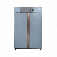 Disinfection Cabinet-9100