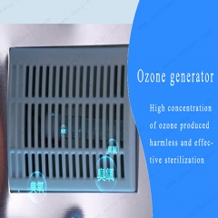 Disinfection Cabinet-9100